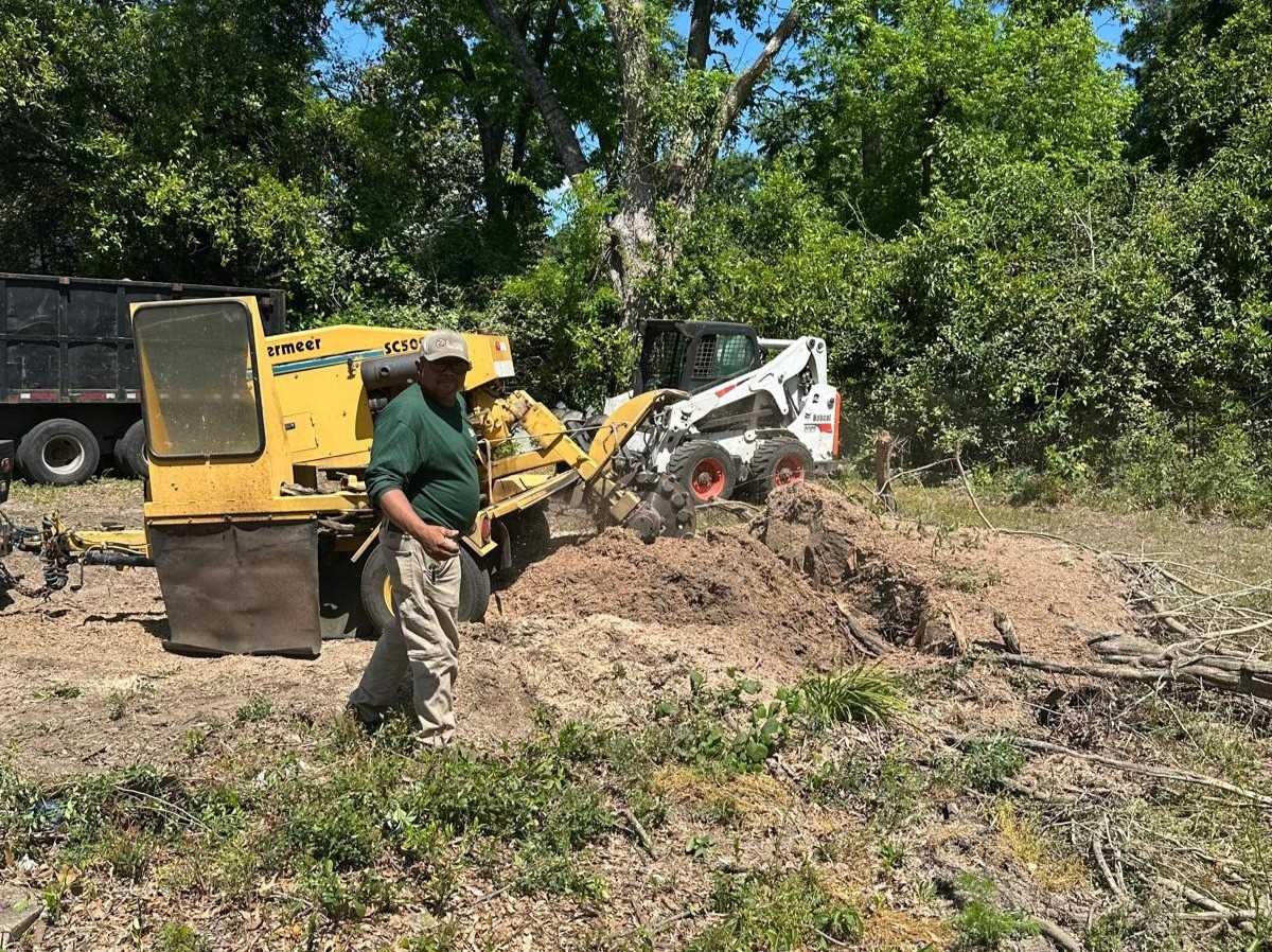 El Costeño Tree Service LLC